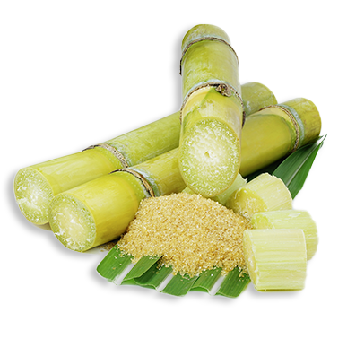 Sugar Cane Extract