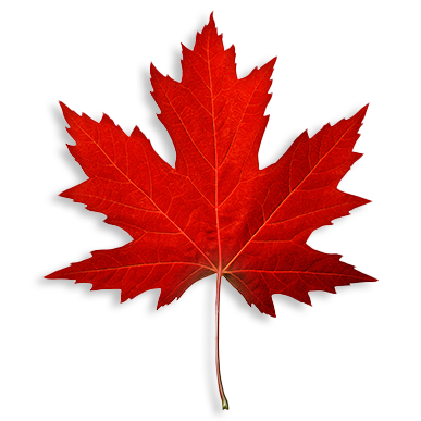 Sugar Maple Extract